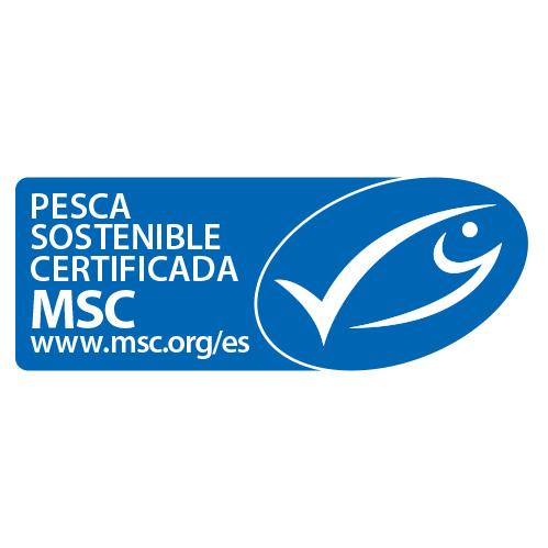 certificazionearticolo1.jpg